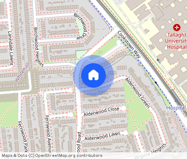 11 Alderwood Green,Dublin 24, Tallaght, Dublin 24 - Photo 1