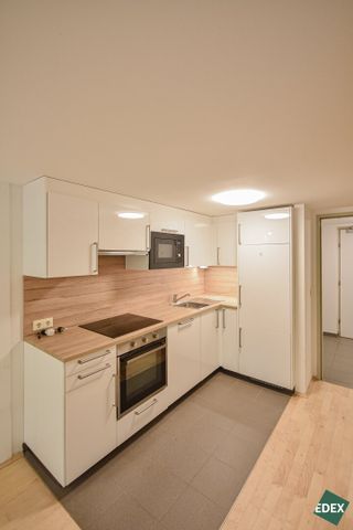 Wunderschöne Galerie-Wohnung mit Garten und neuer Küche nähe U4 Braunschweiggasse - Photo 5