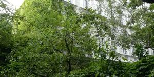 Ruhige 2-Zimmer-Gartenwohnung in 1030 Wien | 67,70 m² mit rd. 80 m² Garten und Loggia INKL BK/ HEIZUNG - Photo 3