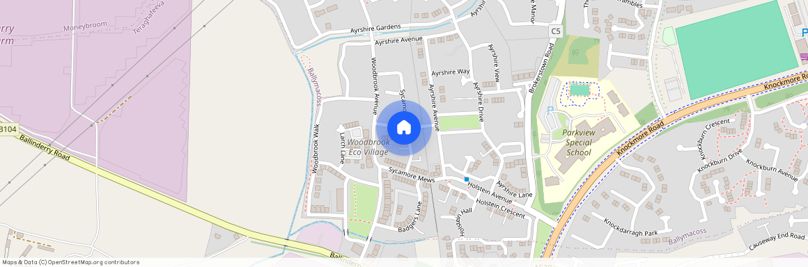 16 Alder Way, Lisburn, BT28 2SX