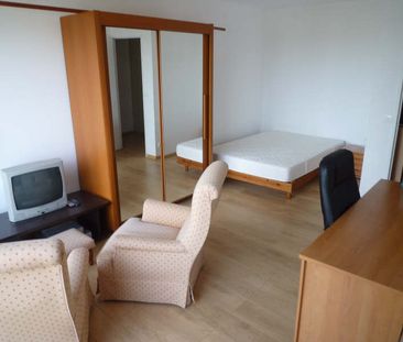 Location Appartement 1 pièce 29m² - Photo 1