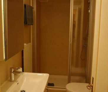 Beautiful 2.5 room apartment in Carouge (Geneva) - Photo 4