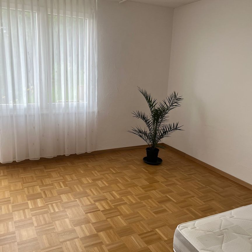 1 Zimmer, 26 m² - Photo 1