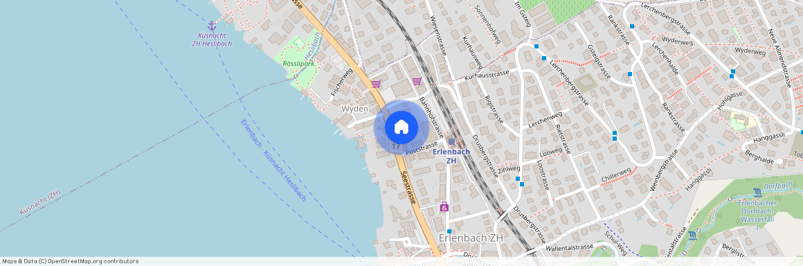 Seestrasse 39, 8703 Erlenbach