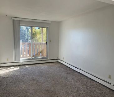 6817 - 59 Avenue — 304 - Photo 3