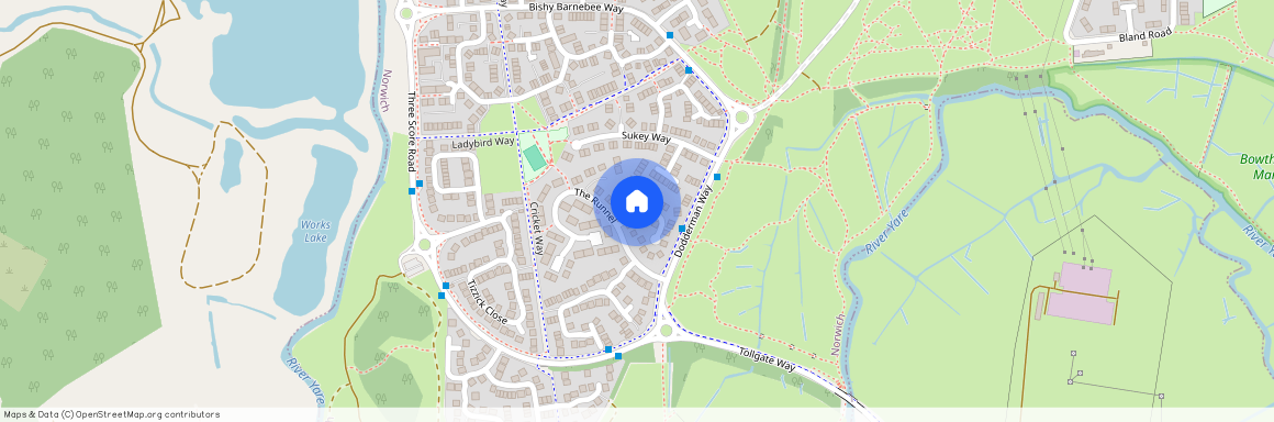 Buttercup Way, Norwich NR5