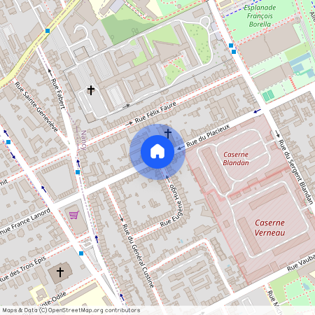 50 TER RUE DU PLACIEUX, Vauban Nord Placieux Parc Sainte-Marie, Nancy