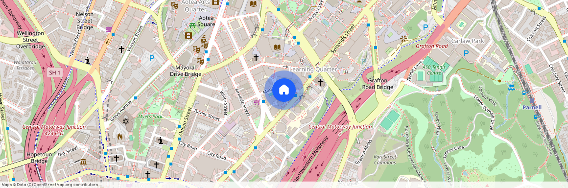 8 Mount Street, Grafton, Auckland City