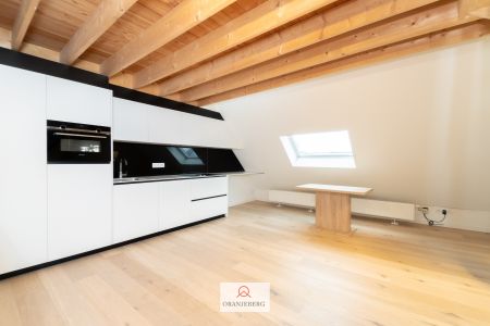 Gerenoveerd appartement met unieke en rustige ligging - Foto 4