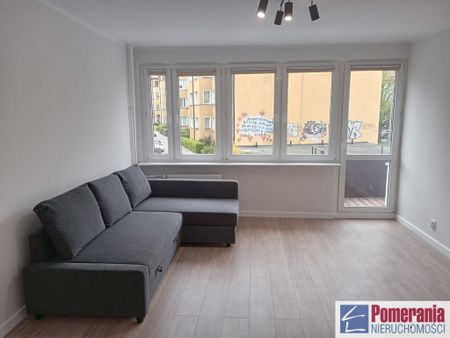 Jasne Błonia - Zdjęcie 3