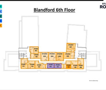 Studio Gold - Photo 6