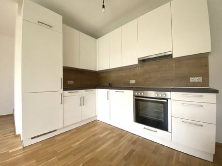 Gartenwohnung mit Car- und E-Bike Sharing Möglichkeit…! - Photo 4