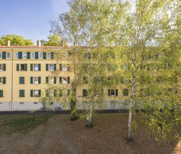 3-Zimmer-Wohnung in Kaiserslautern mieten - Photo 2