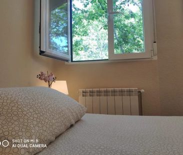 Calle Arroyo del Olivar, Madrid, Community of Madrid 28018 - Photo 5