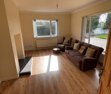 141 Drum Road, Cookstown, BT80 9DW - Photo 1