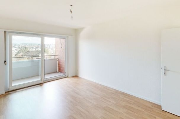 Appartement avec lave-linge séchant privé et vue sur l’Allschwil - Photo 1