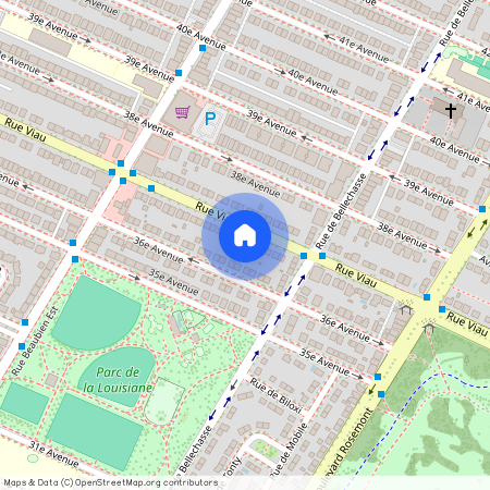 6244 Rue Viau, Montréal (Rosemont/La Petite-Patrie), H1T2Y6