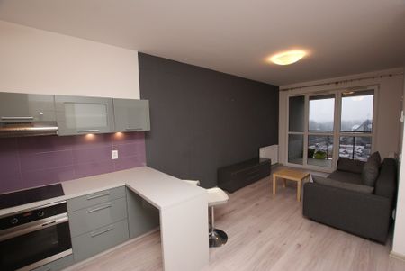 Apartament blisko centrum – 2 pokoje, winda - Zdjęcie 2