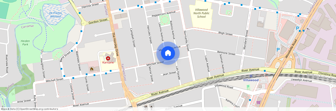 3 CARY WAY, NSW 2165, Fairfield East