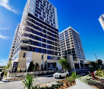 2 bed 1 bath-110 - Photo 6