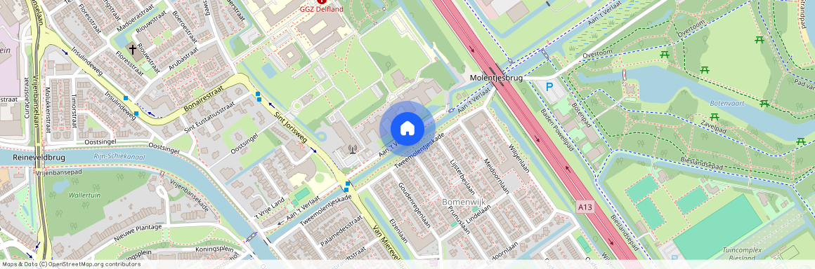 Bomenwijk, 2612 XZ, Tweemolentjeskade, Delft