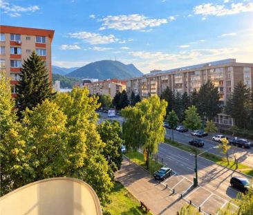 Pet friendly! Apartament doua camere, Bulevardul Victoriei, Brasov - Photo 4