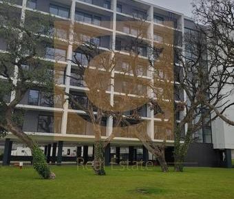 Apartamento T1 - Photo 5