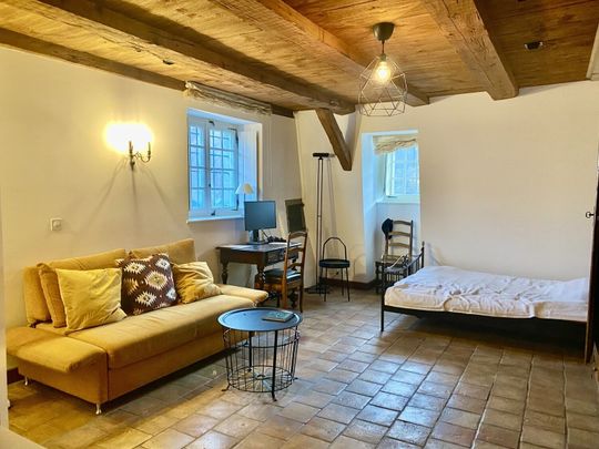 1-ROOM APARTMENT IN FRIBOURG (FR), FURNISHED - Photo 1