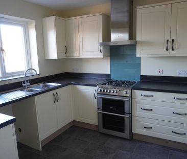 Leedon Furlong - Photo 5