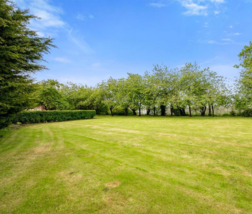 3 bedroom property to rent - Photo 3