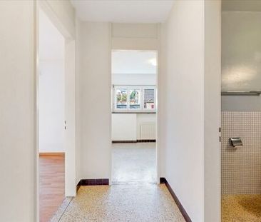 At the pace of life - Photo 1