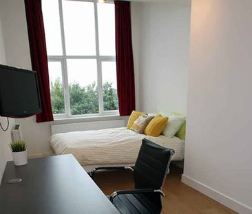 Gold Large Studio - Photo 5