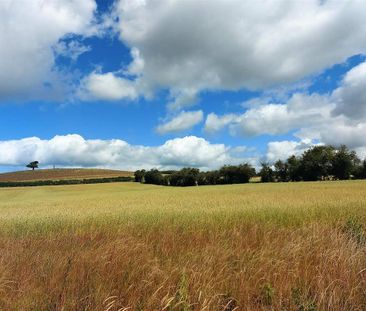 3 bedroom house to rent - Photo 1