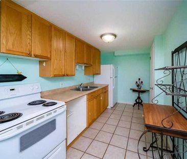 For Lease - 3 Herrick Avenue Unit# Bsmt, St. Catharines, Ontario - Photo 4