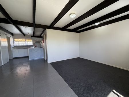 119a Tiro Tiro Road, Levin - Photo 3