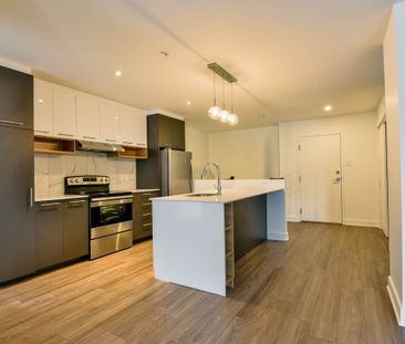 9675 Av. Papineau - Photo 2