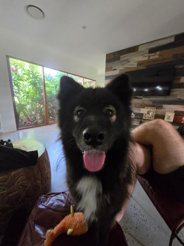 Bells Creek - Photo 2