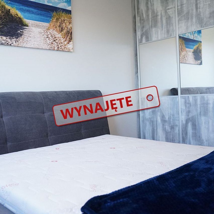 Do wynajęcia dwupokojowe mieszkanie, ul. Potulicka ! - Photo 1