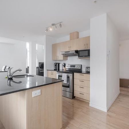 Appartement 5 ½ à louer Lévis mai 2026 - Photo 4