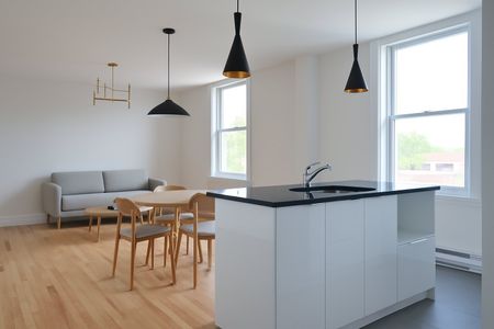 Appartement à louer, Montréal (Ville-Marie) - Photo 3