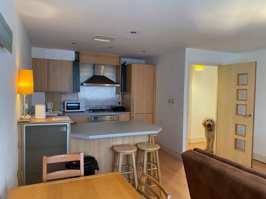 Room in a Shared Flat, Brindley Point Apartments, B16 - Photo 1