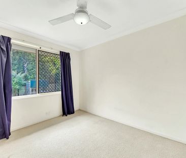 Petrie - Photo 2