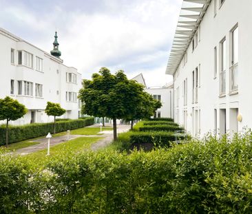 Online Terminbuchung | ab sofort | 1 Zimmer-Wohnung | Hofseitiger 1... - Photo 6