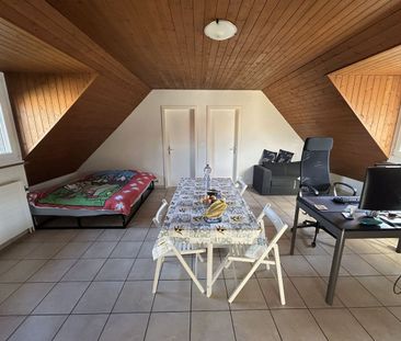 Studio in Marin: Verfügbar sofort oder ab 1. Dezember - Photo 1