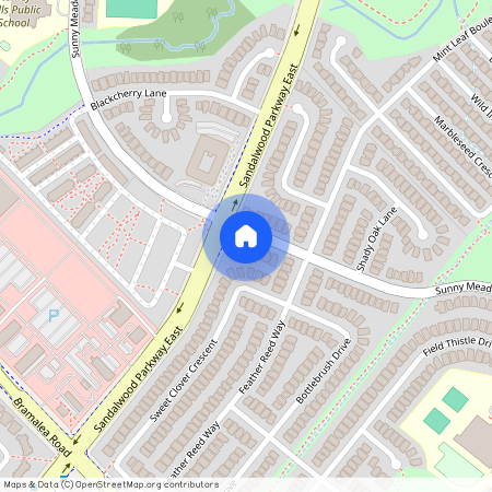 206, 206, Sunny Meadow, Blvd, Bsmt2, L6R 2Y7, Brampton