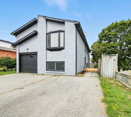 For Lease - 246 Lakeview Park Avenue Unit# Basement, Oshawa, Ontario - Photo 2