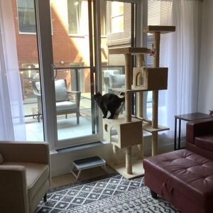 Appartement/condo 4 1/2 - Photo 2