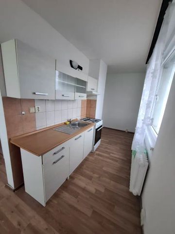 Nabídka bytu 2+1 po rekonstrukci v klidné části Bíliny. - Fotografie 3