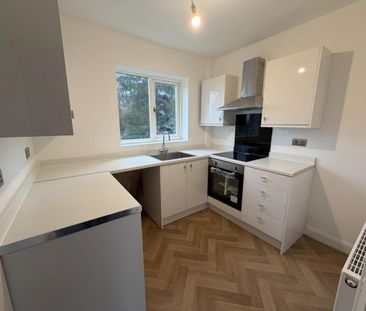 2 bedroom House To Let - Photo 5