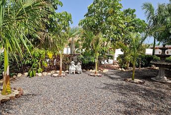 Se alquila en Estrella del Sur apartamento de 1 dormitorio